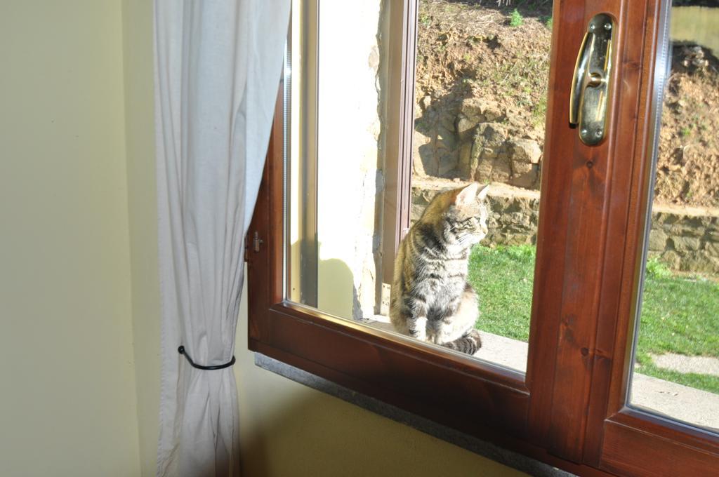 Agriturismo Il Cerrosughero Villa Scarlino Szoba fotó