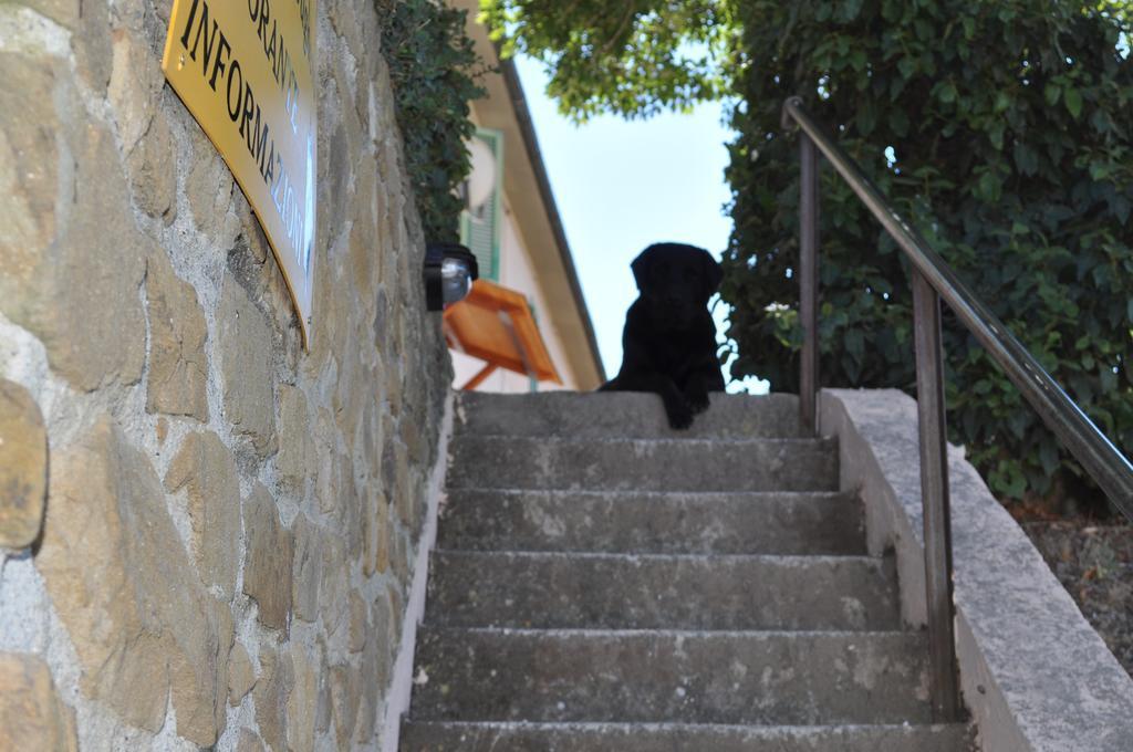 Agriturismo Il Cerrosughero Villa Scarlino Kültér fotó