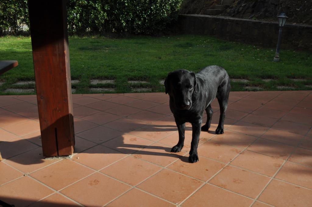 Agriturismo Il Cerrosughero Villa Scarlino Kültér fotó